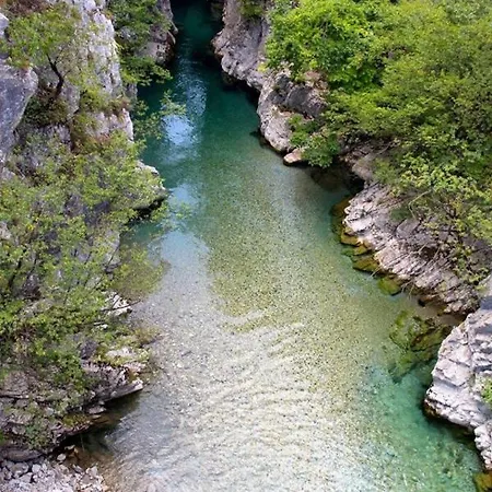 Отель Cocja Boutique