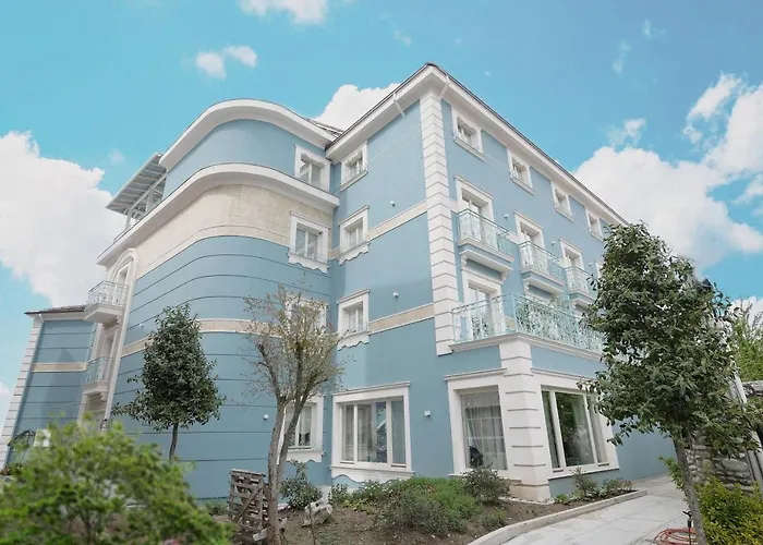 Cocja Boutique שקודר